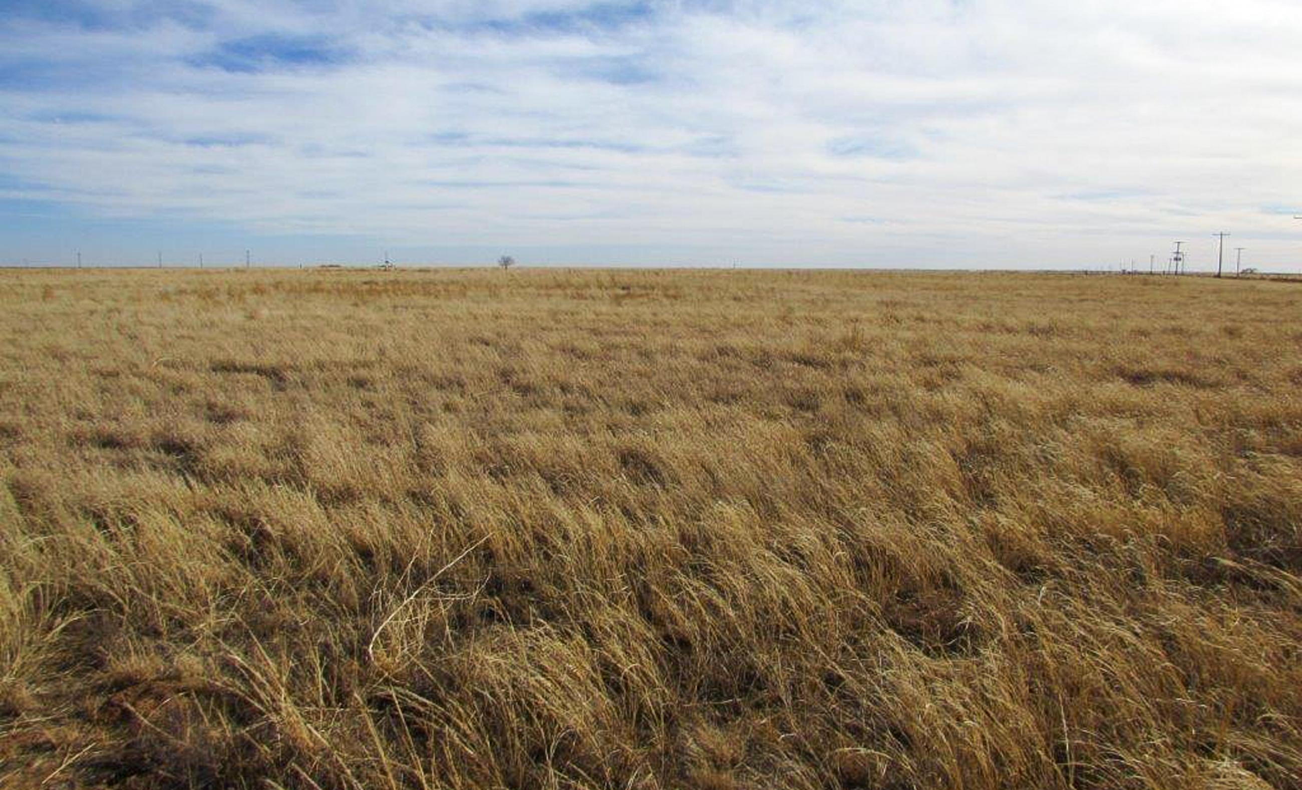 Ramsey Farm Chas S. Middleton